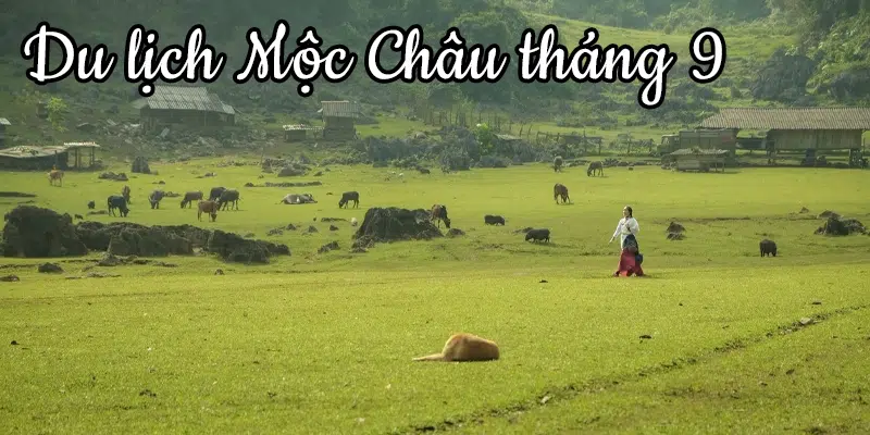 du lịch mộc châu vào tháng 9